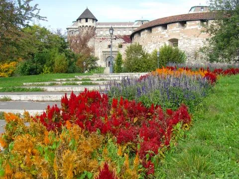 Buda castle Stock Photos