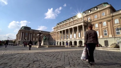 Buda Castle Royal Palace in Budapest Hungary Stock Footage 78579543