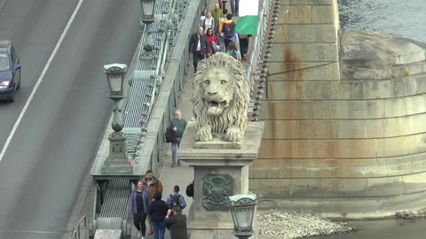 Budapest Chain Bridge Lion Stock Footage 99154948