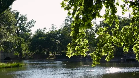 Budapest City Park Stock Footage 221196484