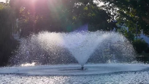 Budapest City Park Vidéo 221197267