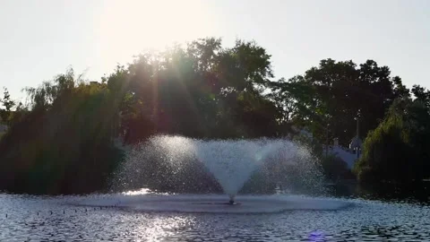 Budapest City Park Stock Footage 221197283