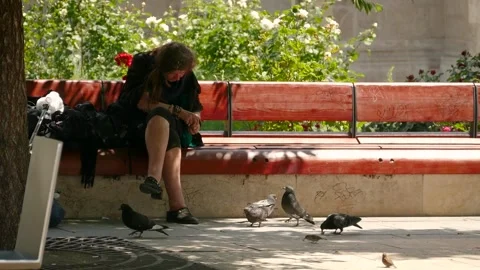 Budapest city park Stock Footage 245582525