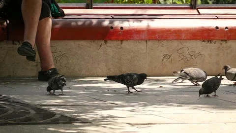 Budapest city park Video stock 245582692