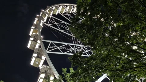 Budapest Ferris Wheel at night behind tree leaves with copy space Stock Footage 340555213
