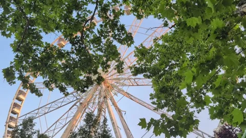 Budapest Ferris Wheel rotating at sunset behind swaying tree leaves Stock Footage 340555306