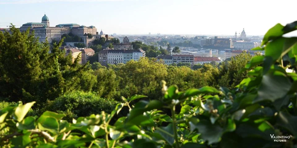 Budapest green Stock Photos