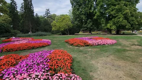 Budapest, Hungary - 26 August 2026: Colorful Flower Beds In Different Shapes Stock Footage 343972490