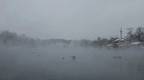 Budapest lake in winter Video stock 1089705