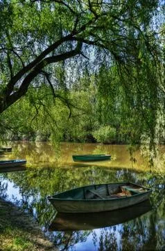 Budapest Nature Stock Photos