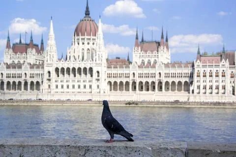 Budapest Stock Photos