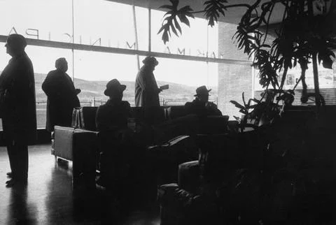 Budapest String Quartet, Yakima, Washington, USA Stock Photos
