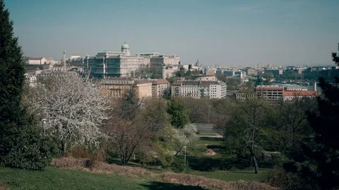 Budapest view with Buda castle Video stock 74231716