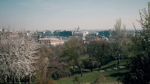 Budapest view with St. Stephen's Basilica and cherry blossom Video stock 74231668