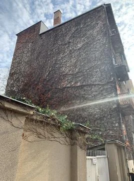 Budapest Vines Foto stock