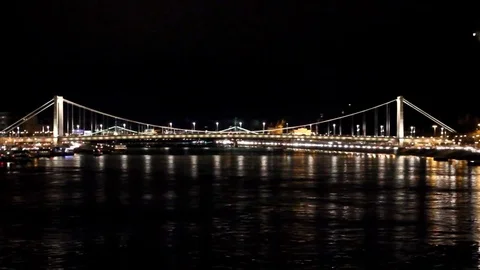 Budapest's Elisabeth Bridge at Night Stock Footage 80209066