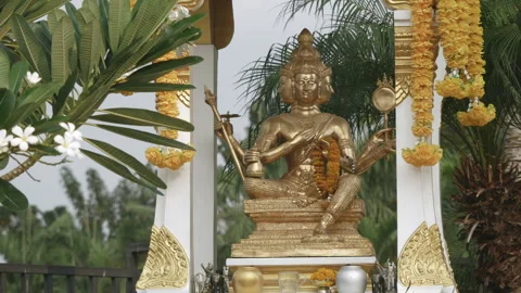 Budda in gold outside with flowers Vídeos de archivo 247201410