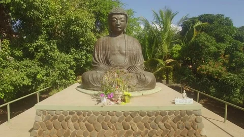 Buddah Jib Up Close Up Stock Footage 71889493