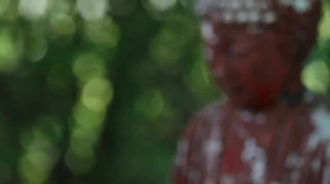 Buddah Statue Stock Footage 726028