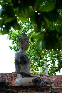 Buddah statue Fotos Stock