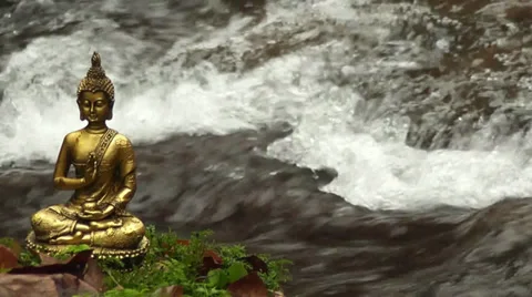 Buddha am Wasser Stock Footage 36117321