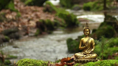 Buddha am Wasser Stock Footage 36117542