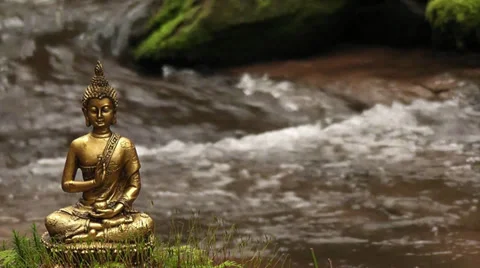 Buddha am Wasser Stock Footage 36117548