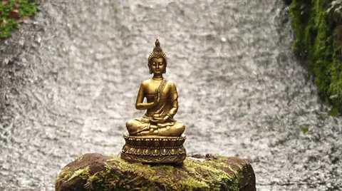 Buddha am Wasser Stock Footage 36117556