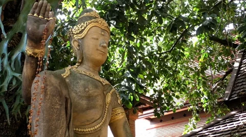 Buddha and Trees Stock Footage 65525273