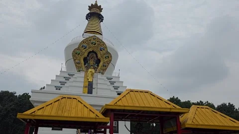 Buddha in Bloom: A Statue Surrounded by Indian Nature Stock Footage 317071587