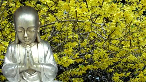 Buddha Boy With Flora Background Stock Photos