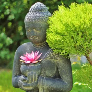 Buddha Buddha with lotus blossom Copyright: xZoonar.com/Terricx 2647569  Stock Photos