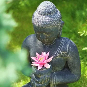 Buddha Buddha with lotus blossom Copyright: xZoonar.com/Terricx 2647603  Stock Photos