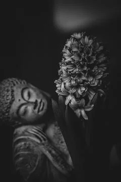 Buddha b&amp;w Foto stock