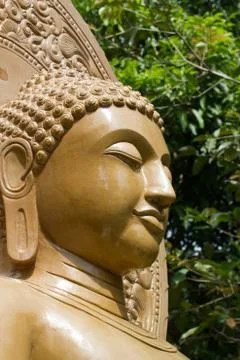 Buddha close up portrait Stock Photos