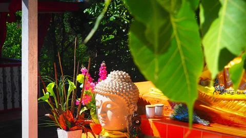 Buddha Crown Head Fotos Stock