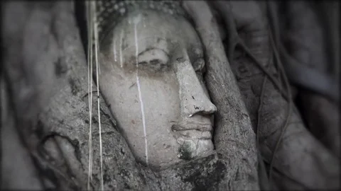 Buddha face between roots Stock-Footage 69086602