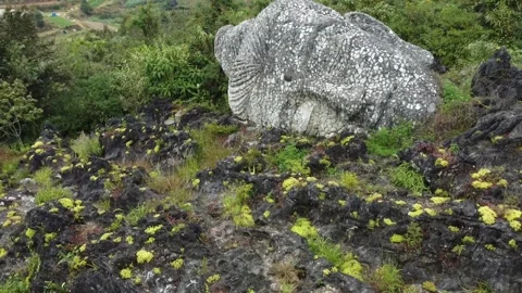 Buddha Face Broken Stock Footage 221456780