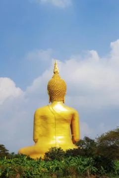 Buddha on the field. Stock-Fotos