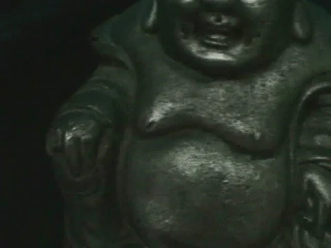 Buddha Video stock 590236