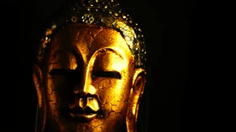 Buddha Video stock 21992009