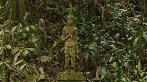 Buddha Stock Footage 112618062