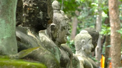 Buddha in Forest Stock Footage 66579507