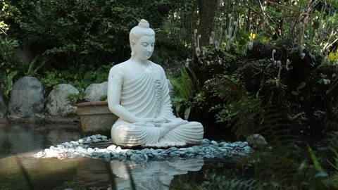 Buddha in a forest Stock Footage 107388275
