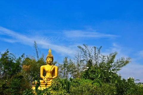 Buddha in the forest Stock Photos