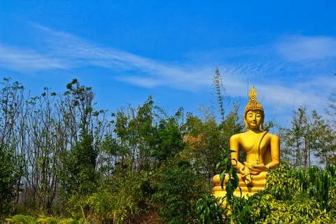Buddha in the forest Stock Photos