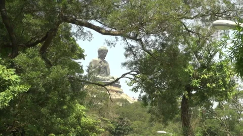 Buddha framed by trees Stock Footage 39742326