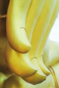 Buddha hand big 스톡 사진