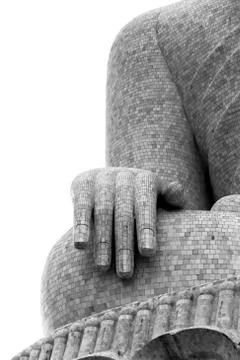 Buddha hand Foto stock