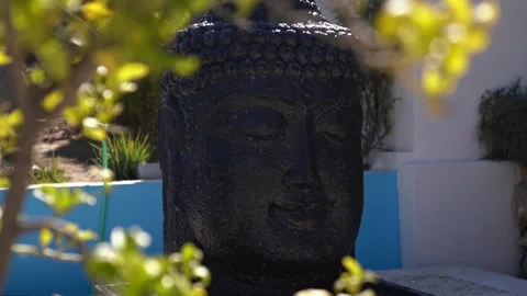 Buddha Head in Asian Garden Stock Footage 272748560